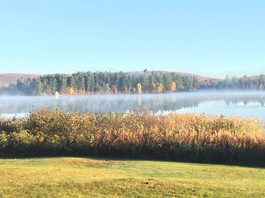 Golden reeds along the shoreline with mist over the water