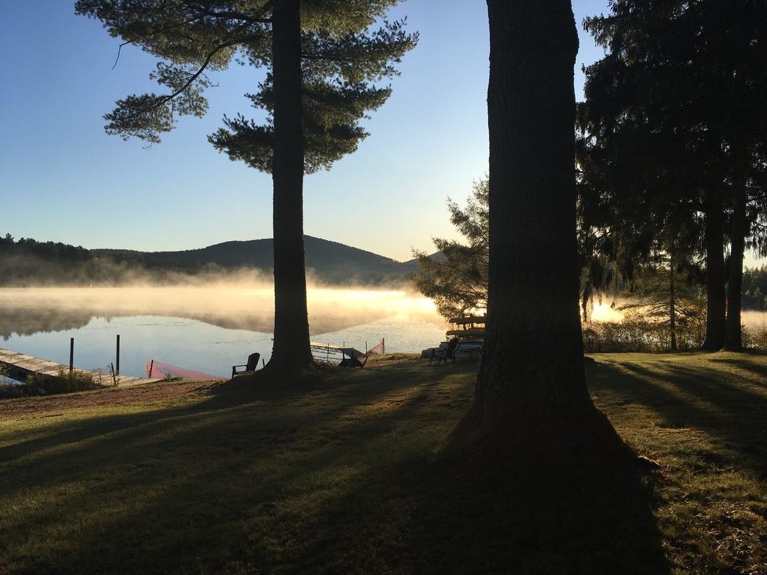 Sunrise through pines over a misty lake